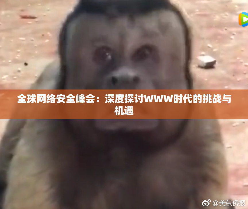 全球网络安全峰会：深度探讨WWW时代的挑战与机遇