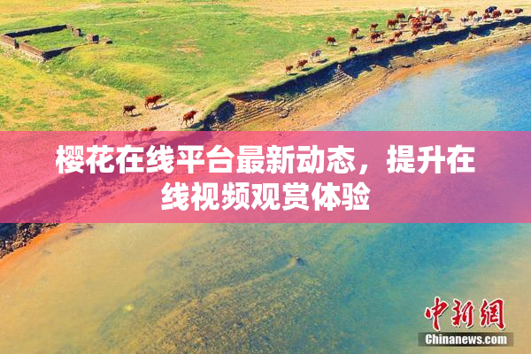 樱花在线平台最新动态，提升在线视频观赏体验