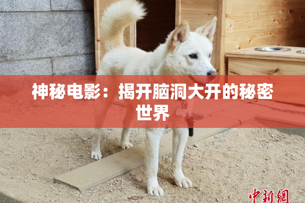 神秘电影：揭开脑洞大开的秘密世界