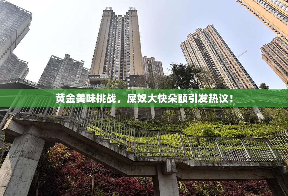 黄金美味挑战，屎奴大快朵颐引发热议！