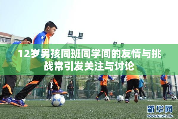 12岁男孩同班同学间的友情与挑战常引发关注与讨论