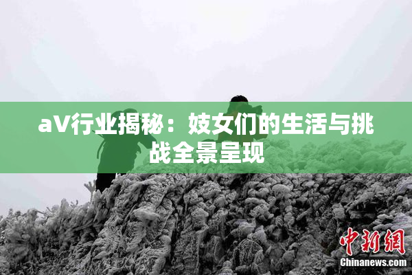 aV行业揭秘：妓女们的生活与挑战全景呈现