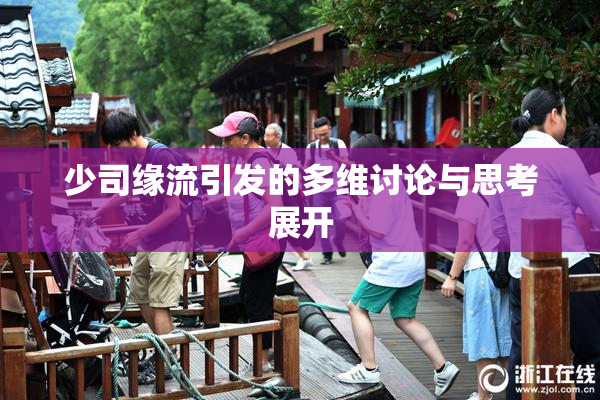 少司缘流引发的多维讨论与思考展开
