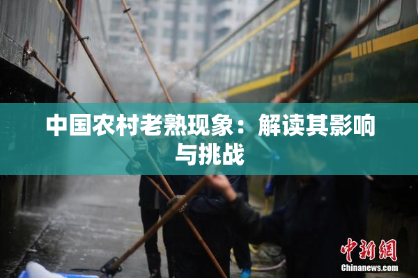 中国农村老熟现象：解读其影响与挑战