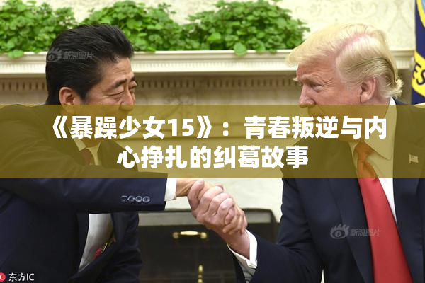 《暴躁少女15》：青春叛逆与内心挣扎的纠葛故事
