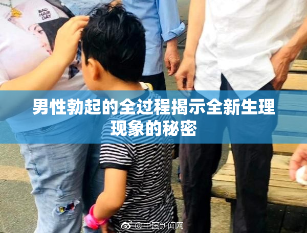 男性勃起的全过程揭示全新生理现象的秘密