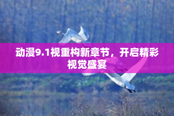 动漫9.1视重构新章节，开启精彩视觉盛宴