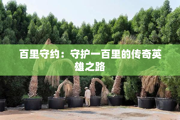 百里守约：守护一百里的传奇英雄之路