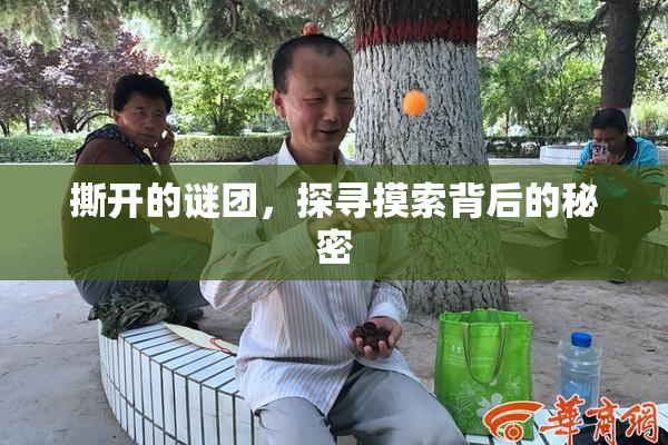 撕开的谜团，探寻摸索背后的秘密
