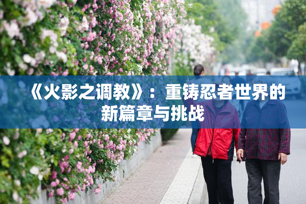 《火影之调教》：重铸忍者世界的新篇章与挑战