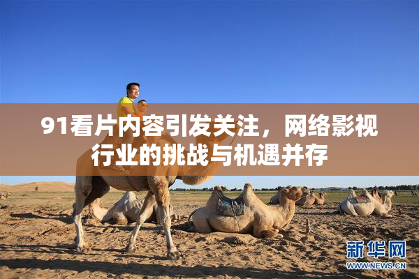 91看片内容引发关注，网络影视行业的挑战与机遇并存