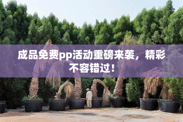 成品免费pp活动重磅来袭，精彩不容错过！