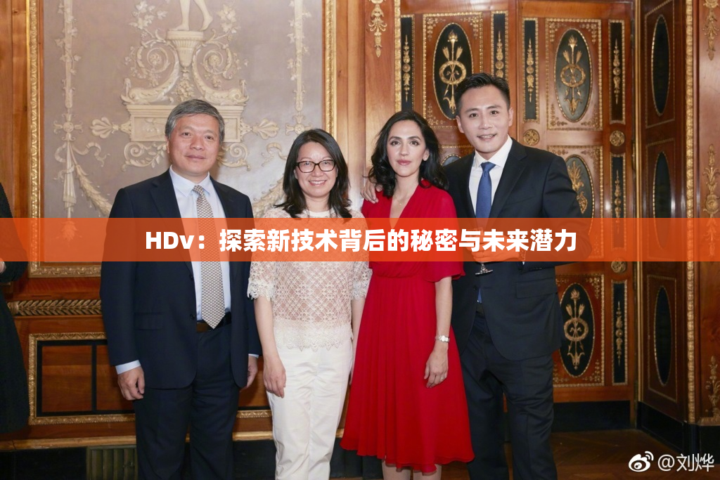 HDv：探索新技术背后的秘密与未来潜力