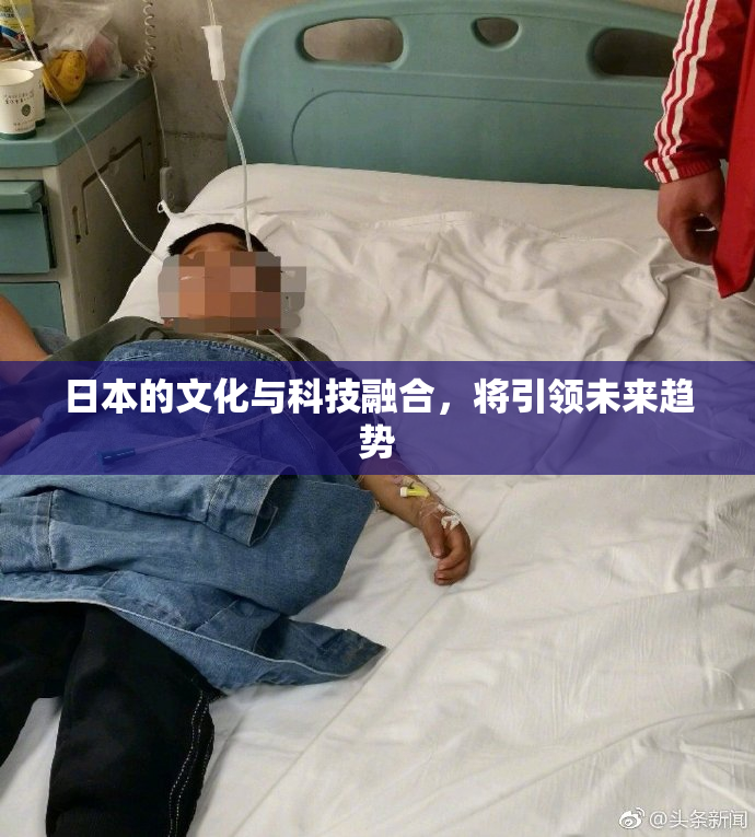 日本的文化与科技融合，将引领未来趋势