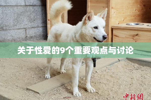关于性爱的9个重要观点与讨论