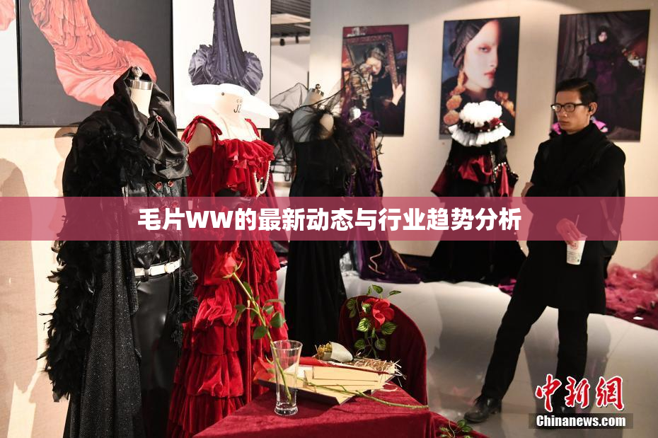 毛片WW的最新动态与行业趋势分析