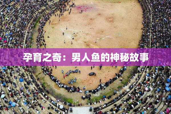 孕育之奇：男人鱼的神秘故事