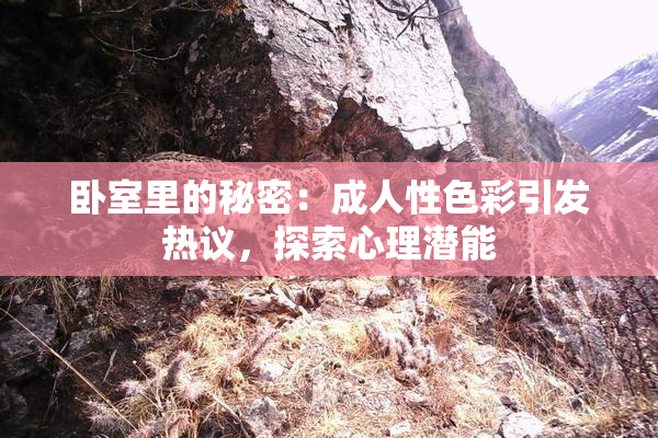 卧室里的秘密：成人性色彩引发热议，探索心理潜能