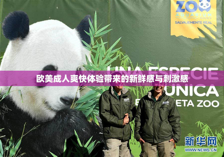 欧美成人爽快体验带来的新鲜感与刺激感