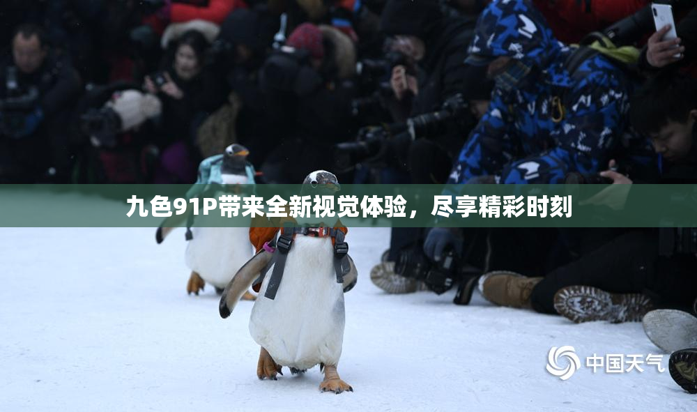 九色91P带来全新视觉体验，尽享精彩时刻