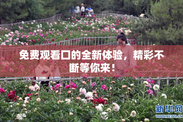 免费观看囗的全新体验，精彩不断等你来！