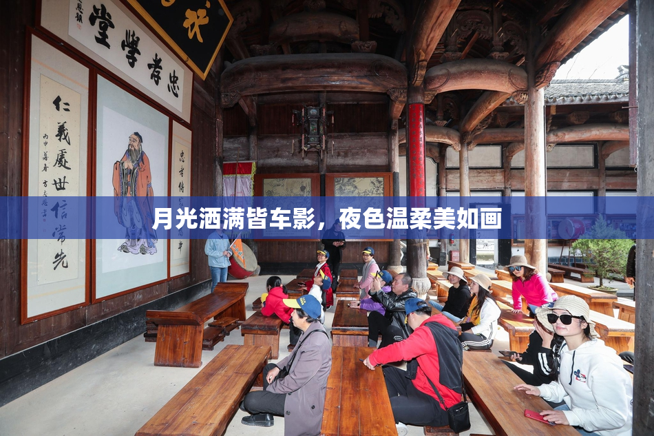 月光洒满皆车影，夜色温柔美如画