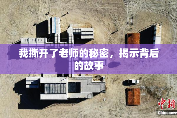 我撕开了老师的秘密，揭示背后的故事
