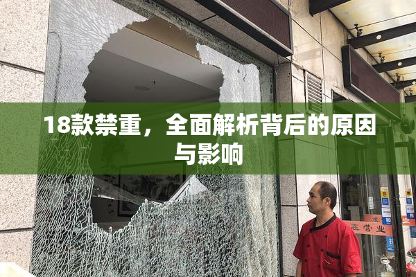 18款禁重，全面解析背后的原因与影响