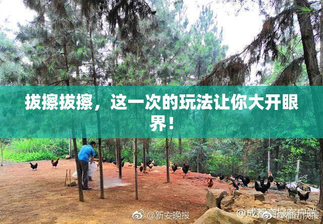 拔擦拔擦，这一次的玩法让你大开眼界！