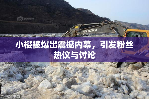 小樱被爆出震撼内幕，引发粉丝热议与讨论