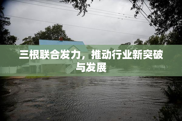 三根联合发力，推动行业新突破与发展