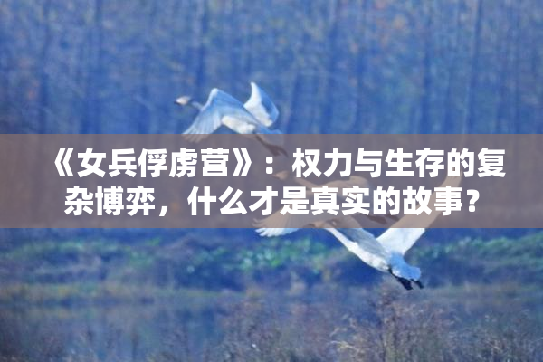 《女兵俘虏营》：权力与生存的复杂博弈，什么才是真实的故事？