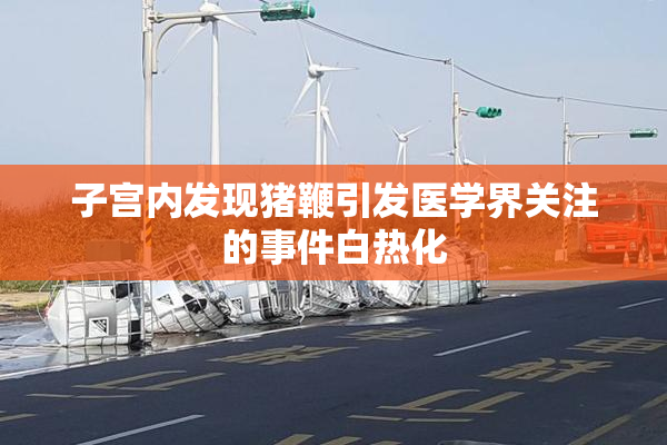 子宫内发现猪鞭引发医学界关注的事件白热化