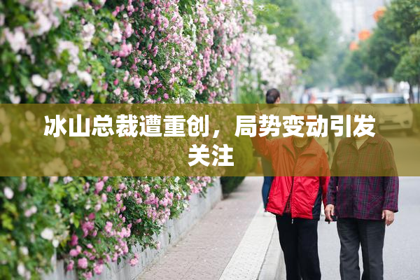 冰山总裁遭重创，局势变动引发关注