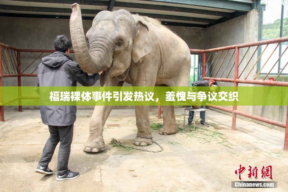 福瑞裸体事件引发热议，羞愧与争议交织