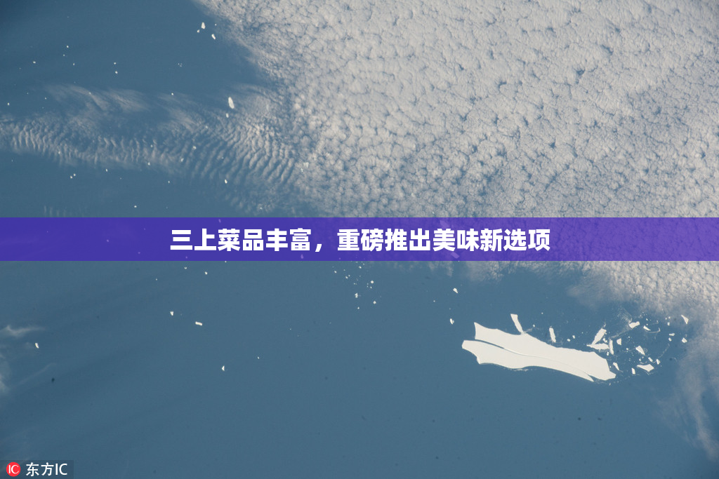 三上菜品丰富，重磅推出美味新选项