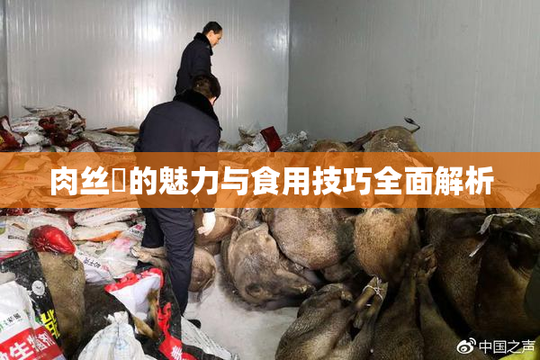 肉丝祙的魅力与食用技巧全面解析