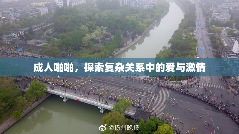 成人啪啪，探索复杂关系中的爱与激情