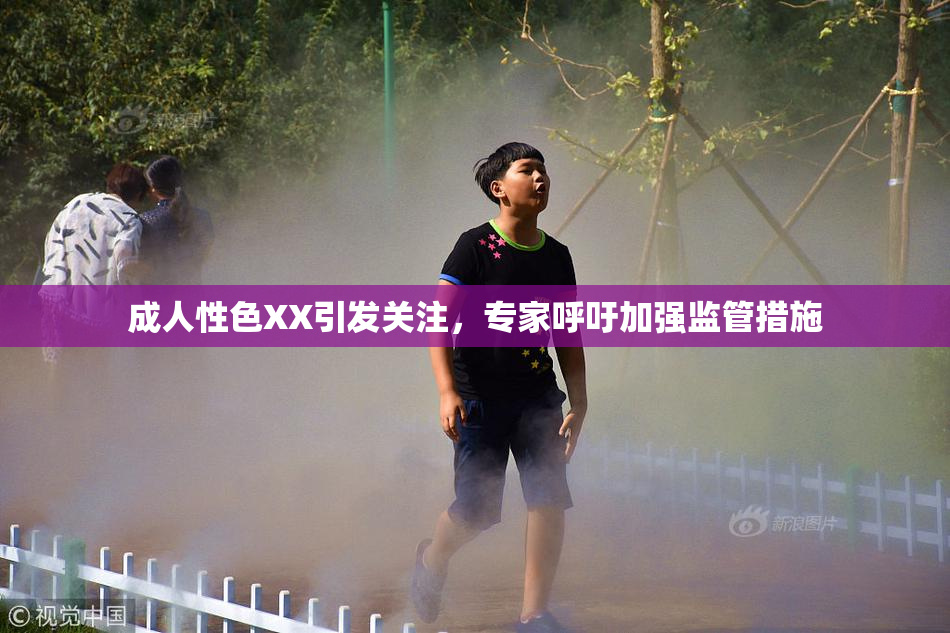 成人性色XX引发关注，专家呼吁加强监管措施
