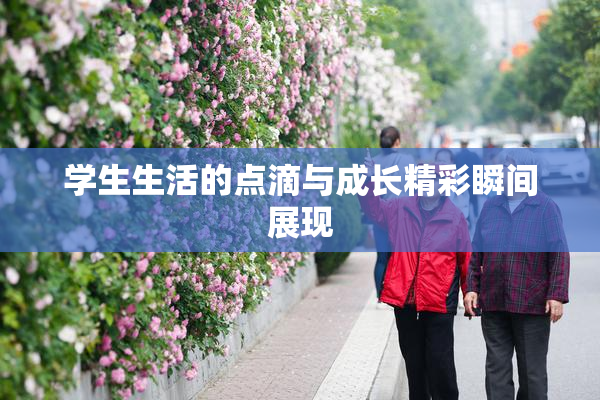 学生生活的点滴与成长精彩瞬间展现