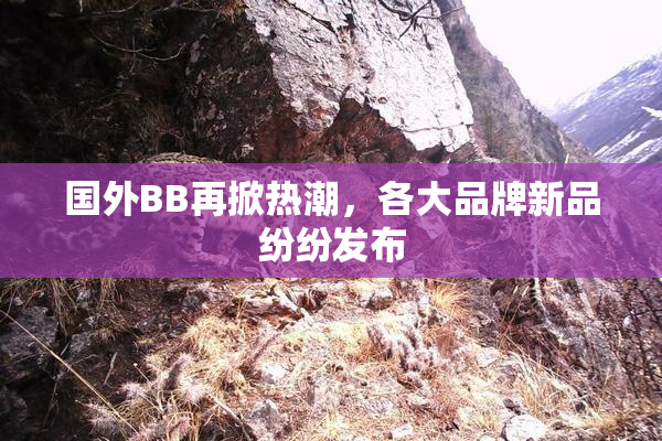 国外BB再掀热潮，各大品牌新品纷纷发布