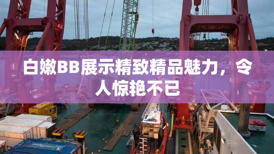 白嫩BB展示精致精品魅力，令人惊艳不已