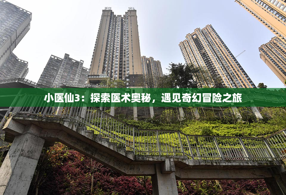 小医仙3：探索医术奥秘，遇见奇幻冒险之旅