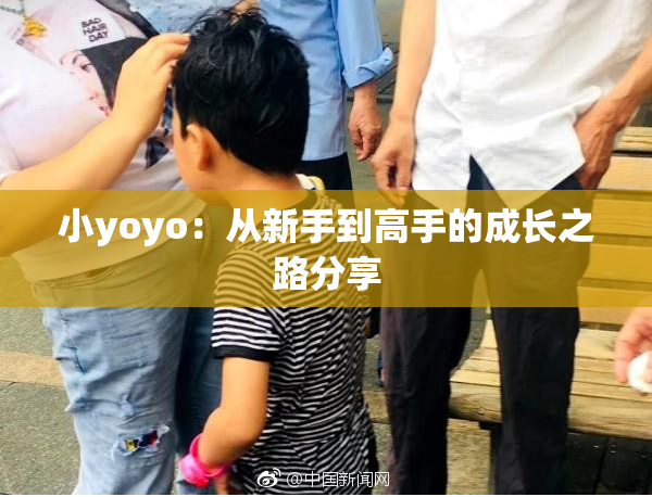 小yoyo：从新手到高手的成长之路分享