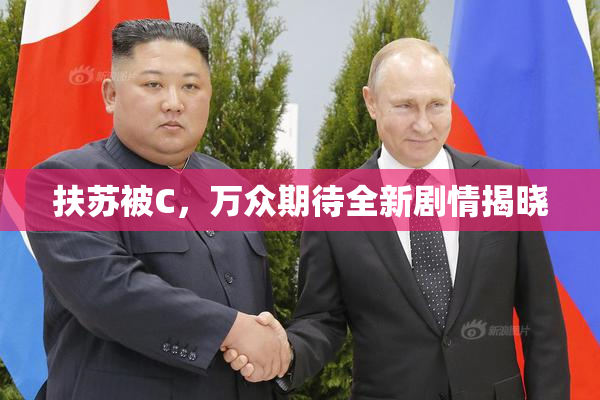 扶苏被C，万众期待全新剧情揭晓