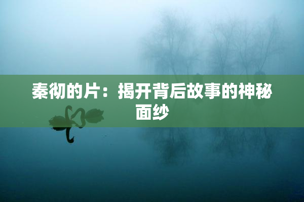 秦彻的片：揭开背后故事的神秘面纱