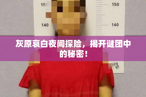 灰原哀白夜间探险，揭开谜团中的秘密！