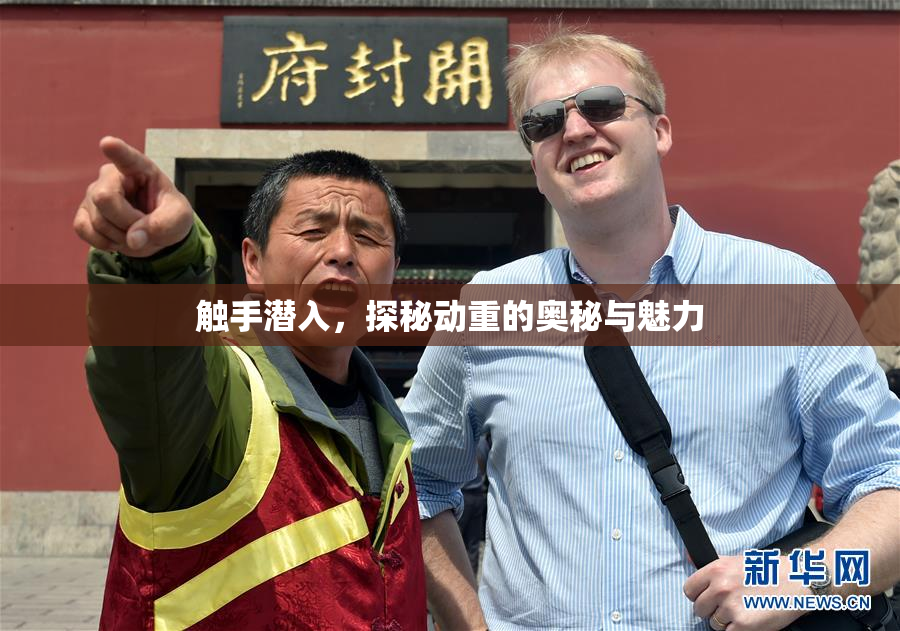 触手潜入，探秘动重的奥秘与魅力