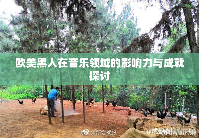 欧美黑人在音乐领域的影响力与成就探讨