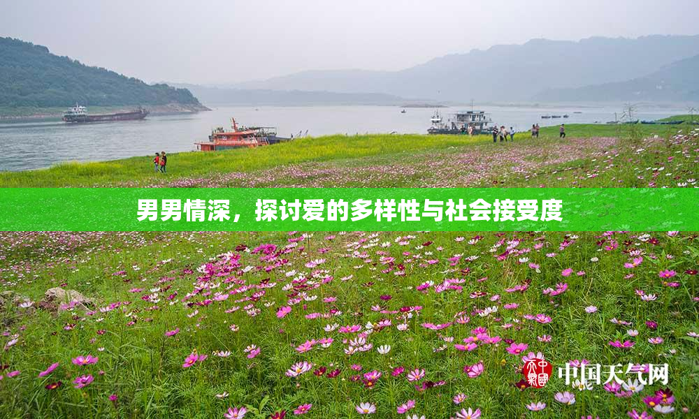 男男情深，探讨爱的多样性与社会接受度